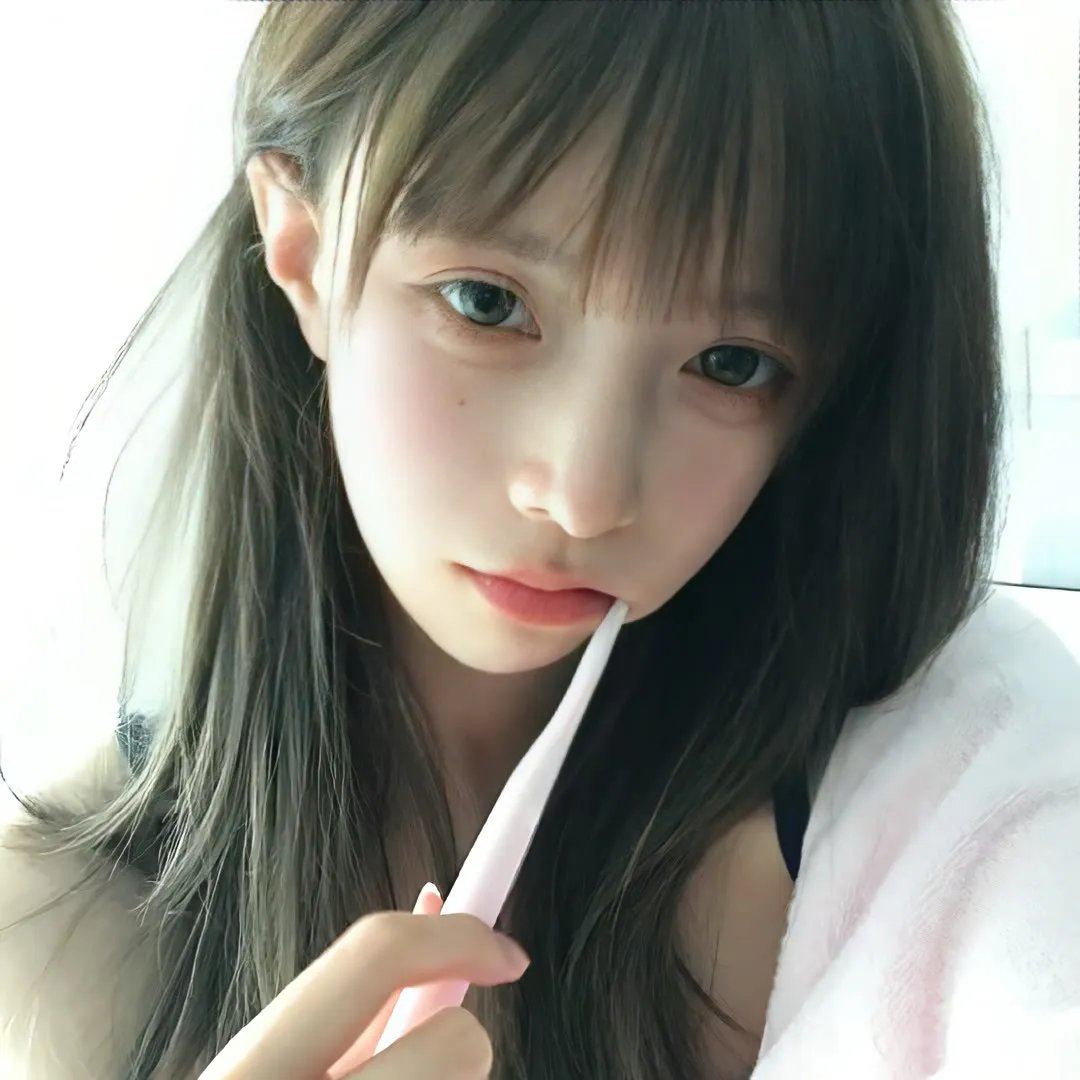 藏獒情未了